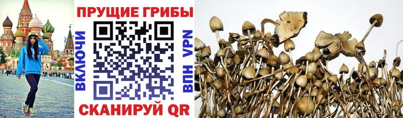 купить наркотик  Верхняя Тура  Галлюциногенные грибы мухоморы 