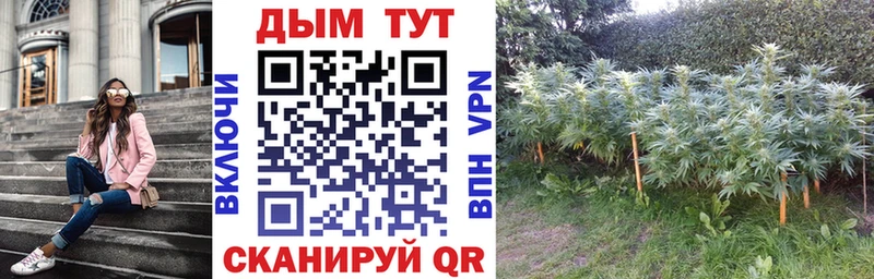 Бошки Шишки тримм площадка формула Верхняя Тура